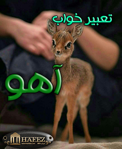 آهو