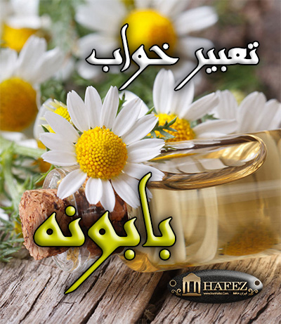 تعبیر خواب بابونه تعبیر خواب بابونه