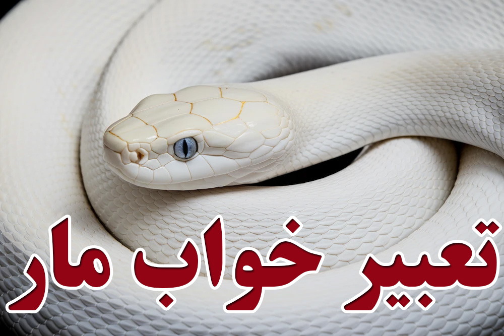 تعبیر خواب مار سفید