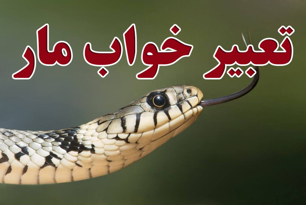 تعبیر خواب مار
