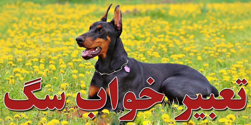 تعبیر خواب سگ