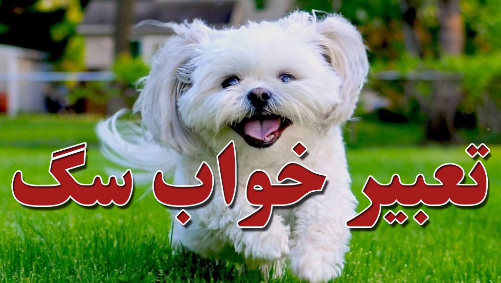 تعبیر خواب سگ
