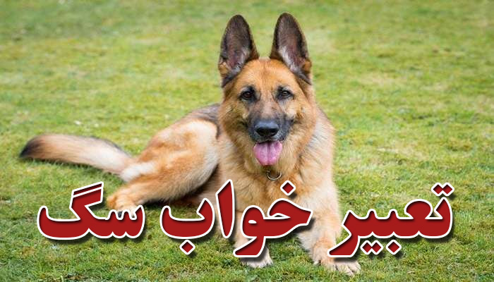 تعبیر خواب سگ