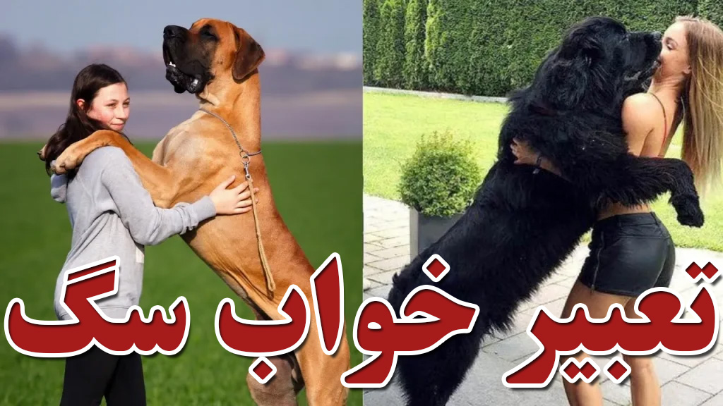تعبیر خواب سگ
